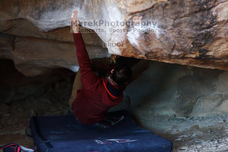 

Filename: SRM_20170129_1033250.jpg
Aperture: f/2.0
Shutter Speed: 1/250
Body: Canon EOS-1D Mark II
Lens: Canon EF 85mm f/1.2 L II