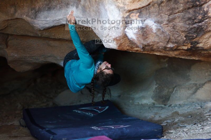 

Filename: SRM_20170129_1034220.jpg
Aperture: f/2.0
Shutter Speed: 1/250
Body: Canon EOS-1D Mark II
Lens: Canon EF 85mm f/1.2 L II