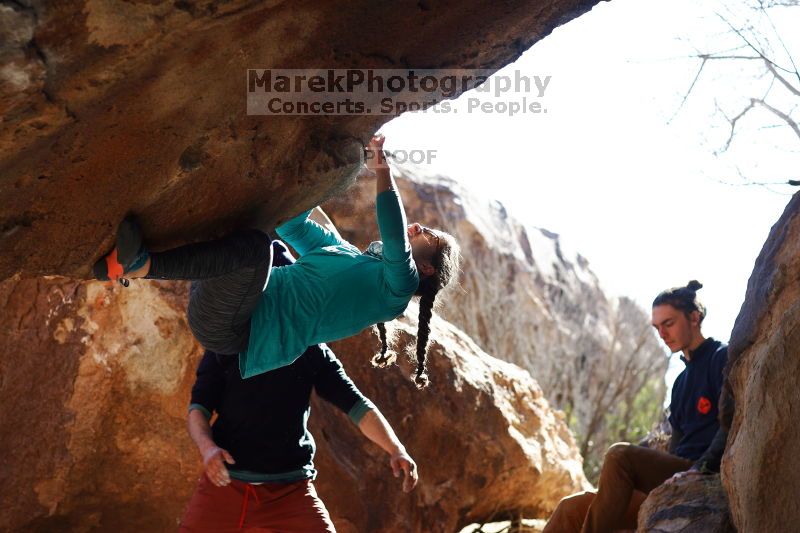 

Filename: SRM_20170129_1503310.jpg
Aperture: f/4.0
Shutter Speed: 1/800
Body: Canon EOS-1D Mark II
Lens: Canon EF 85mm f/1.2 L II