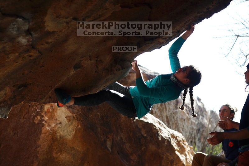 

Filename: SRM_20170129_1503341.jpg
Aperture: f/4.0
Shutter Speed: 1/1250
Body: Canon EOS-1D Mark II
Lens: Canon EF 85mm f/1.2 L II