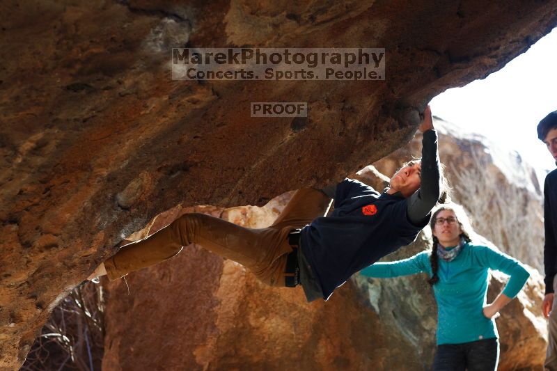 

Filename: SRM_20170129_1504121.jpg
Aperture: f/4.0
Shutter Speed: 1/640
Body: Canon EOS-1D Mark II
Lens: Canon EF 85mm f/1.2 L II