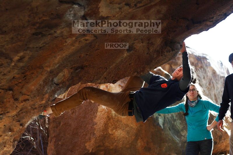 

Filename: SRM_20170129_1504122.jpg
Aperture: f/4.0
Shutter Speed: 1/640
Body: Canon EOS-1D Mark II
Lens: Canon EF 85mm f/1.2 L II