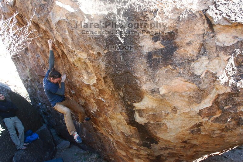 

Filename: SRM_20170129_1543040.jpg
Aperture: f/5.0
Shutter Speed: 1/200
Body: Canon EOS-1D Mark II
Lens: Canon EF 16-35mm f/2.8 L