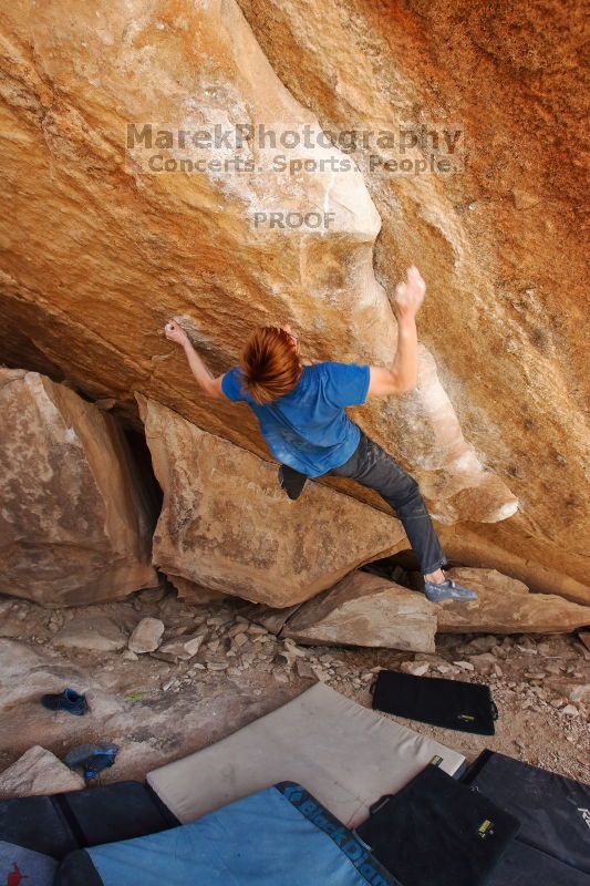 

Filename: SRM_20170203_1214252.jpg
Aperture: f/5.0
Shutter Speed: 1/320
Body: Canon EOS-1D Mark II
Lens: Canon EF 16-35mm f/2.8 L