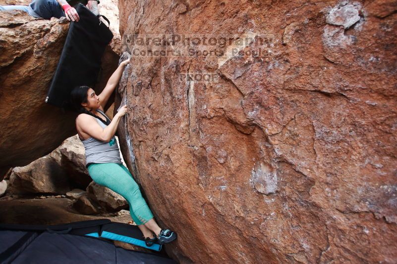 

Filename: SRM_20170218_0919240.jpg
Aperture: f/4.0
Shutter Speed: 1/250
Body: Canon EOS-1D Mark II
Lens: Canon EF 16-35mm f/2.8 L