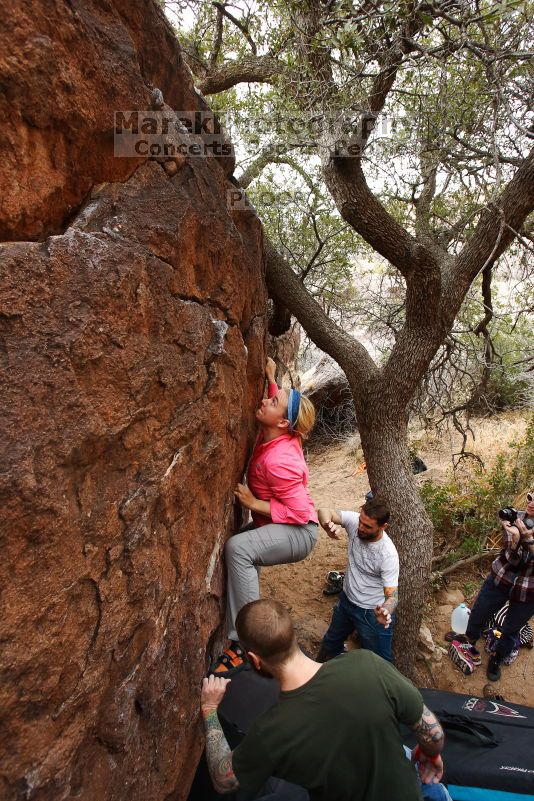

Filename: SRM_20170218_0946130.jpg
Aperture: f/5.0
Shutter Speed: 1/320
Body: Canon EOS-1D Mark II
Lens: Canon EF 16-35mm f/2.8 L