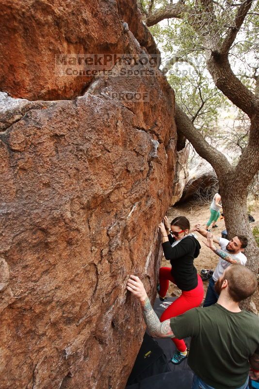 

Filename: SRM_20170218_0948200.jpg
Aperture: f/5.0
Shutter Speed: 1/200
Body: Canon EOS-1D Mark II
Lens: Canon EF 16-35mm f/2.8 L