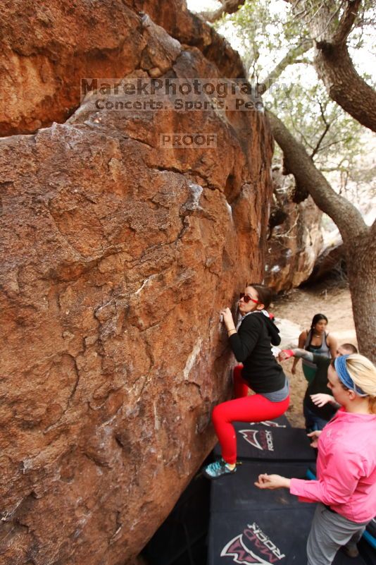 

Filename: SRM_20170218_0952560.jpg
Aperture: f/4.5
Shutter Speed: 1/250
Body: Canon EOS-1D Mark II
Lens: Canon EF 16-35mm f/2.8 L