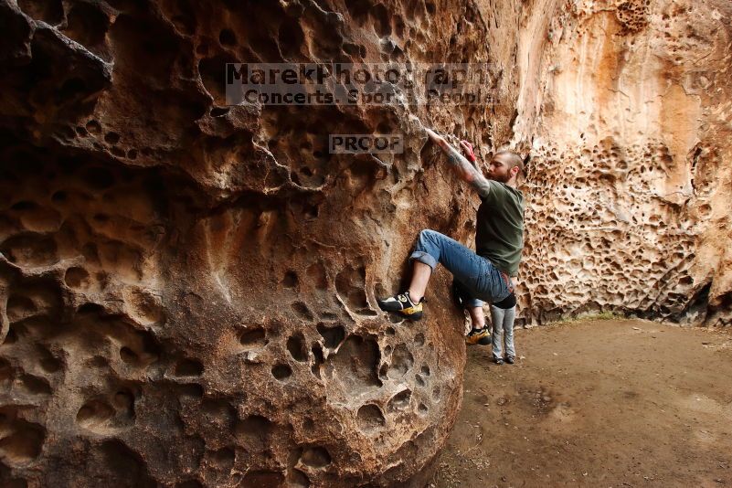 

Filename: SRM_20170218_1203490.jpg
Aperture: f/5.6
Shutter Speed: 1/100
Body: Canon EOS-1D Mark II
Lens: Canon EF 16-35mm f/2.8 L