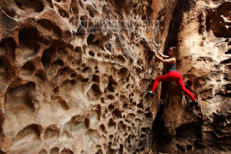 

Filename: SRM_20170218_1210590.jpg
Aperture: f/5.6
Shutter Speed: 1/160
Body: Canon EOS-1D Mark II
Lens: Canon EF 16-35mm f/2.8 L