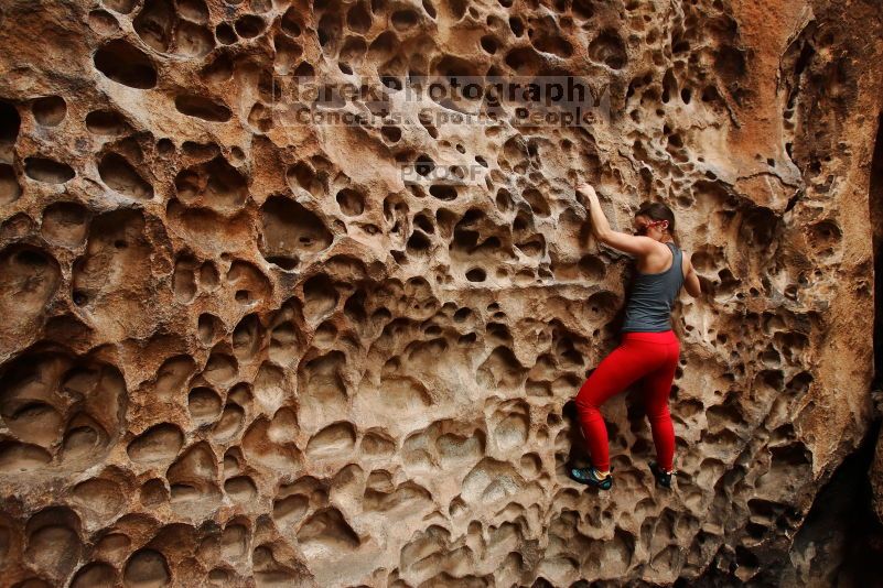 

Filename: SRM_20170218_1211330.jpg
Aperture: f/5.6
Shutter Speed: 1/200
Body: Canon EOS-1D Mark II
Lens: Canon EF 16-35mm f/2.8 L