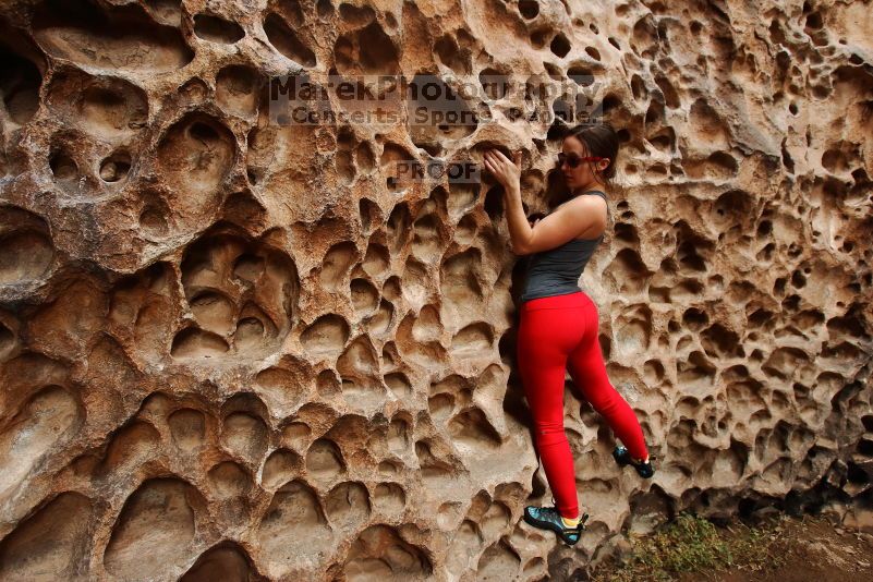 

Filename: SRM_20170218_1212140.jpg
Aperture: f/5.6
Shutter Speed: 1/160
Body: Canon EOS-1D Mark II
Lens: Canon EF 16-35mm f/2.8 L