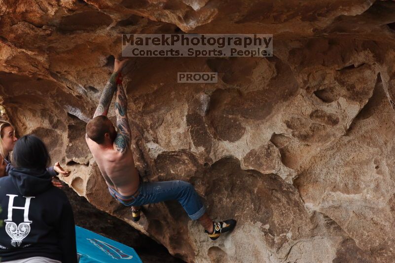 

Filename: SRM_20170218_1405370.jpg
Aperture: f/4.0
Shutter Speed: 1/400
Body: Canon EOS-1D Mark II
Lens: Canon EF 85mm f/1.2 L II