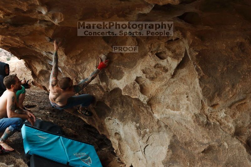 

Filename: SRM_20170218_1420220.jpg
Aperture: f/4.0
Shutter Speed: 1/500
Body: Canon EOS-1D Mark II
Lens: Canon EF 50mm f/1.8 II