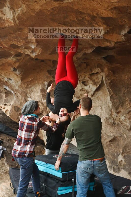 

Filename: SRM_20170218_1439573.jpg
Aperture: f/5.6
Shutter Speed: 1/200
Body: Canon EOS-1D Mark II
Lens: Canon EF 50mm f/1.8 II