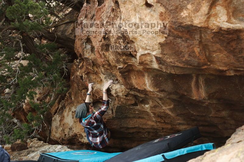 

Filename: SRM_20170218_1508591.jpg
Aperture: f/4.0
Shutter Speed: 1/320
Body: Canon EOS-1D Mark II
Lens: Canon EF 50mm f/1.8 II