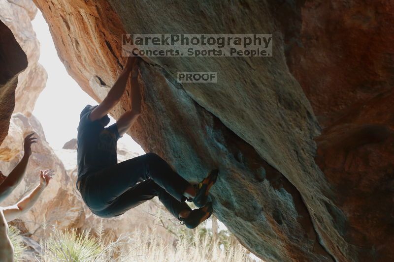 

Filename: SRM_20170311_1121460.jpg
Aperture: f/4.0
Shutter Speed: 1/250
Body: Canon EOS-1D Mark II
Lens: Canon EF 50mm f/1.8 II