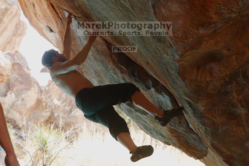 

Filename: SRM_20170311_1122211.jpg
Aperture: f/4.0
Shutter Speed: 1/160
Body: Canon EOS-1D Mark II
Lens: Canon EF 50mm f/1.8 II