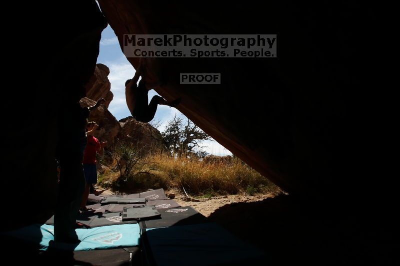 

Filename: SRM_20170311_1128310.jpg
Aperture: f/11.0
Shutter Speed: 1/250
Body: Canon EOS-1D Mark II
Lens: Canon EF 16-35mm f/2.8 L