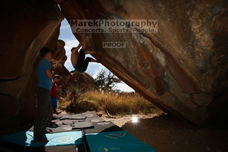 

Filename: SRM_20170311_1128320.jpg
Aperture: f/11.0
Shutter Speed: 1/250
Body: Canon EOS-1D Mark II
Lens: Canon EF 16-35mm f/2.8 L