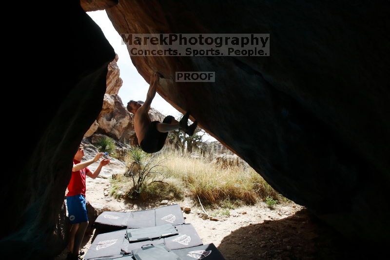 

Filename: SRM_20170311_1156540.jpg
Aperture: f/9.0
Shutter Speed: 1/250
Body: Canon EOS-1D Mark II
Lens: Canon EF 16-35mm f/2.8 L