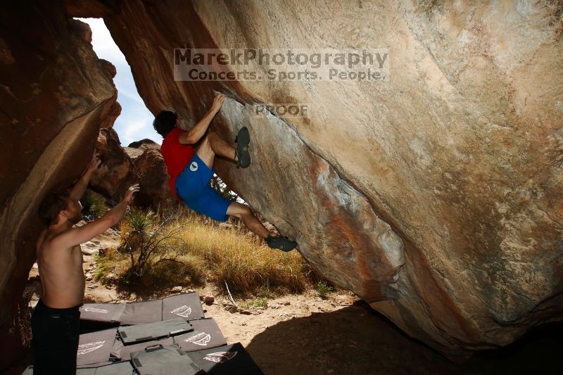 

Filename: SRM_20170311_1158140.jpg
Aperture: f/9.0
Shutter Speed: 1/250
Body: Canon EOS-1D Mark II
Lens: Canon EF 16-35mm f/2.8 L