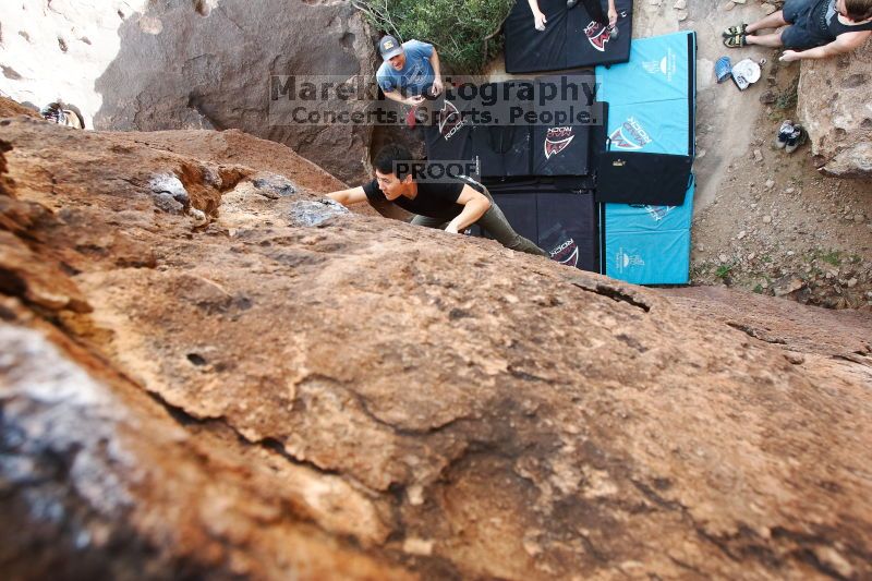 

Filename: SRM_20170311_1224240.jpg
Aperture: f/5.6
Shutter Speed: 1/250
Body: Canon EOS-1D Mark II
Lens: Canon EF 16-35mm f/2.8 L