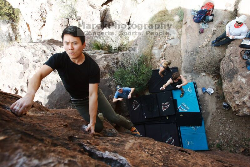 

Filename: SRM_20170311_1224551.jpg
Aperture: f/5.6
Shutter Speed: 1/500
Body: Canon EOS-1D Mark II
Lens: Canon EF 16-35mm f/2.8 L