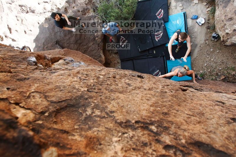 

Filename: SRM_20170311_1226090.jpg
Aperture: f/5.6
Shutter Speed: 1/320
Body: Canon EOS-1D Mark II
Lens: Canon EF 16-35mm f/2.8 L