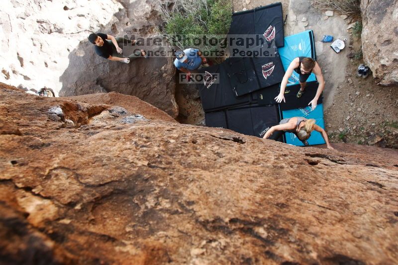 

Filename: SRM_20170311_1226151.jpg
Aperture: f/5.6
Shutter Speed: 1/320
Body: Canon EOS-1D Mark II
Lens: Canon EF 16-35mm f/2.8 L