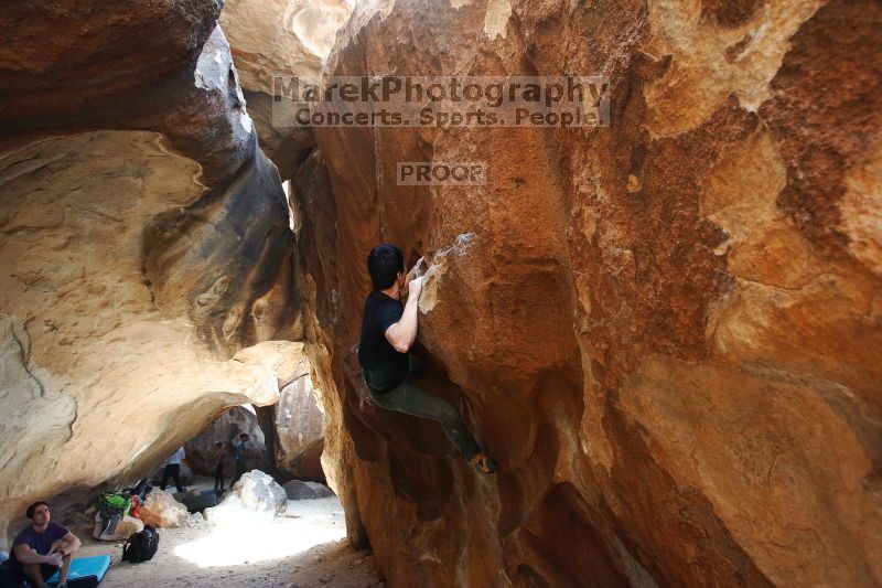 

Filename: SRM_20170311_1323390.jpg
Aperture: f/4.0
Shutter Speed: 1/320
Body: Canon EOS-1D Mark II
Lens: Canon EF 16-35mm f/2.8 L