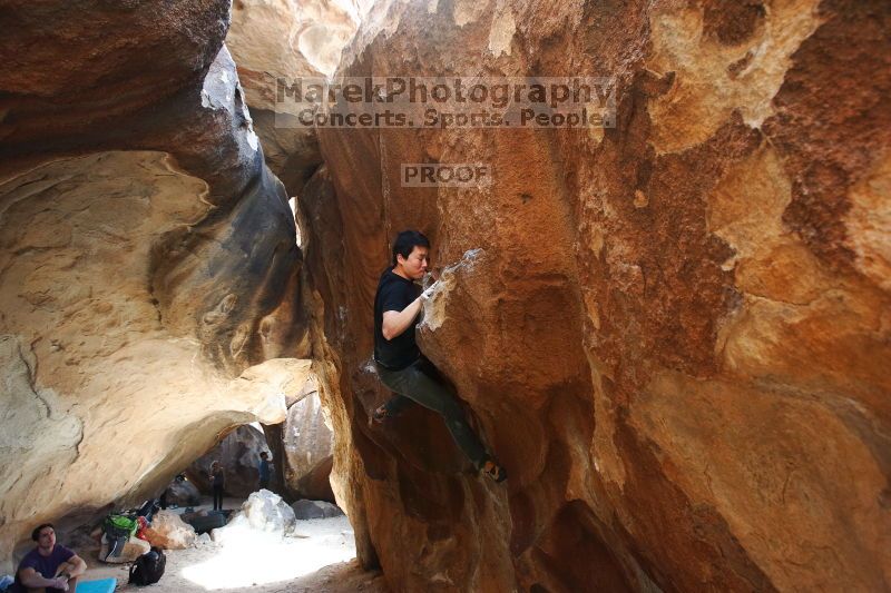 

Filename: SRM_20170311_1323401.jpg
Aperture: f/4.0
Shutter Speed: 1/320
Body: Canon EOS-1D Mark II
Lens: Canon EF 16-35mm f/2.8 L