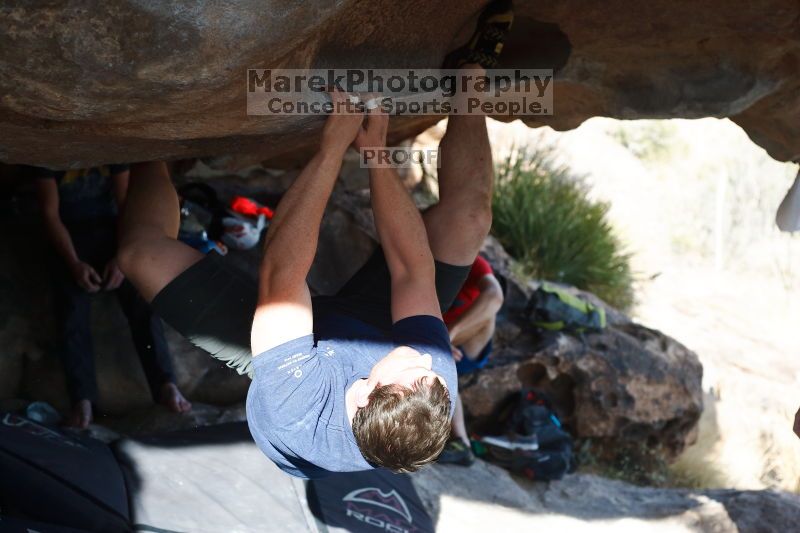 

Filename: SRM_20170311_1559100.jpg
Aperture: f/4.0
Shutter Speed: 1/1600
Body: Canon EOS-1D Mark II
Lens: Canon EF 50mm f/1.8 II