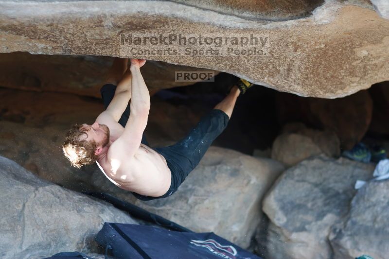 

Filename: SRM_20170311_1603130.jpg
Aperture: f/2.0
Shutter Speed: 1/320
Body: Canon EOS-1D Mark II
Lens: Canon EF 85mm f/1.2 L II