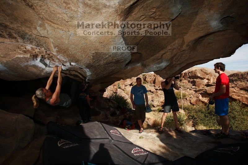 

Filename: SRM_20170311_1605400.jpg
Aperture: f/9.0
Shutter Speed: 1/250
Body: Canon EOS-1D Mark II
Lens: Canon EF 16-35mm f/2.8 L