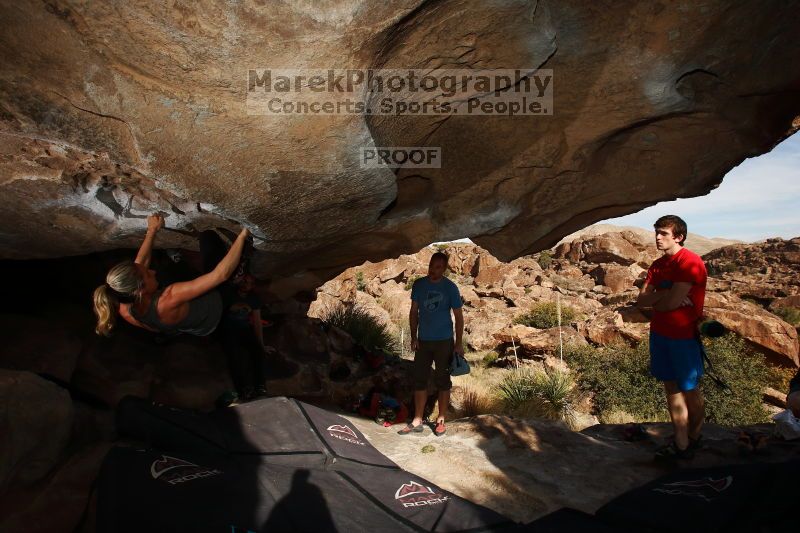 

Filename: SRM_20170311_1605480.jpg
Aperture: f/9.0
Shutter Speed: 1/250
Body: Canon EOS-1D Mark II
Lens: Canon EF 16-35mm f/2.8 L