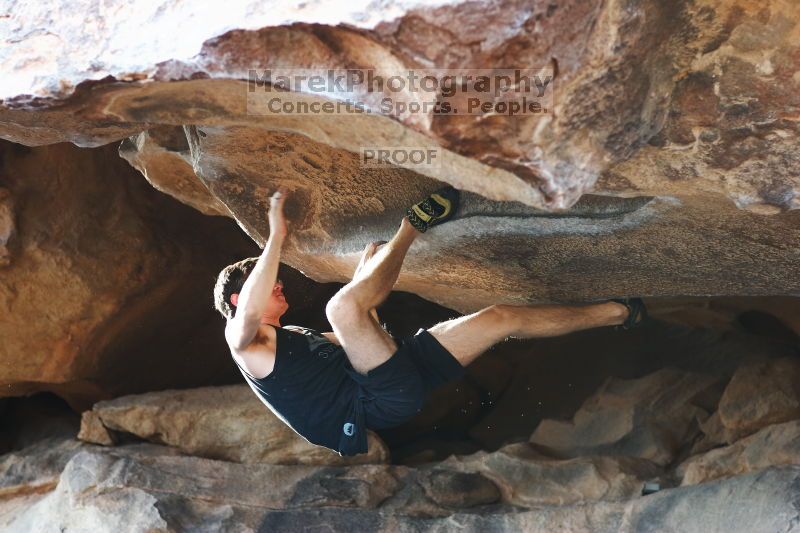 

Filename: SRM_20170311_1639120.jpg
Aperture: f/2.8
Shutter Speed: 1/400
Body: Canon EOS-1D Mark II
Lens: Canon EF 85mm f/1.2 L II