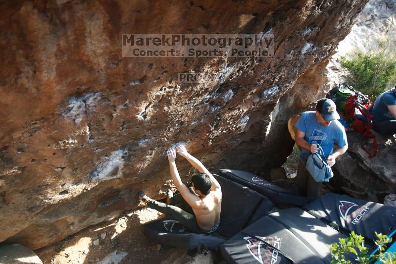 

Filename: SRM_20170311_1710030.jpg
Aperture: f/2.8
Shutter Speed: 1/400
Body: Canon EOS-1D Mark II
Lens: Canon EF 16-35mm f/2.8 L