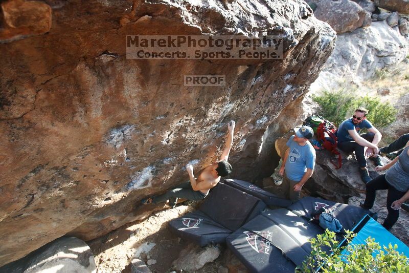 

Filename: SRM_20170311_1710110.jpg
Aperture: f/4.5
Shutter Speed: 1/400
Body: Canon EOS-1D Mark II
Lens: Canon EF 16-35mm f/2.8 L