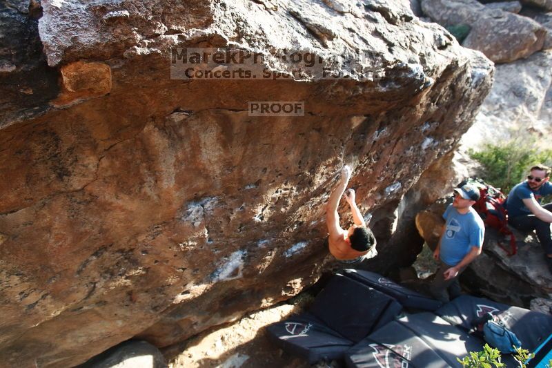 

Filename: SRM_20170311_1710211.jpg
Aperture: f/4.5
Shutter Speed: 1/400
Body: Canon EOS-1D Mark II
Lens: Canon EF 16-35mm f/2.8 L