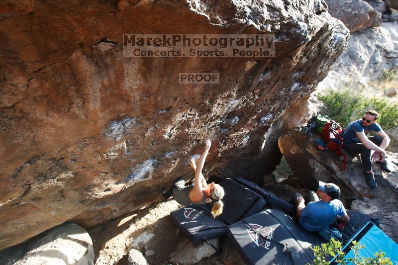 

Filename: SRM_20170311_1711071.jpg
Aperture: f/4.5
Shutter Speed: 1/400
Body: Canon EOS-1D Mark II
Lens: Canon EF 16-35mm f/2.8 L