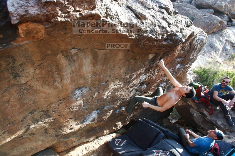 

Filename: SRM_20170311_1712310.jpg
Aperture: f/5.0
Shutter Speed: 1/320
Body: Canon EOS-1D Mark II
Lens: Canon EF 16-35mm f/2.8 L