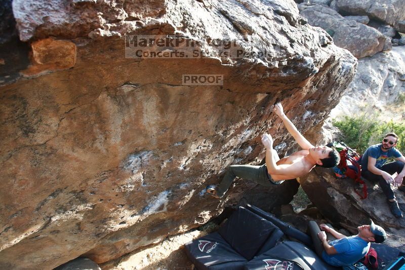 

Filename: SRM_20170311_1712320.jpg
Aperture: f/5.0
Shutter Speed: 1/320
Body: Canon EOS-1D Mark II
Lens: Canon EF 16-35mm f/2.8 L