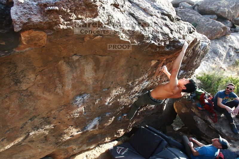 

Filename: SRM_20170311_1712322.jpg
Aperture: f/5.0
Shutter Speed: 1/320
Body: Canon EOS-1D Mark II
Lens: Canon EF 16-35mm f/2.8 L