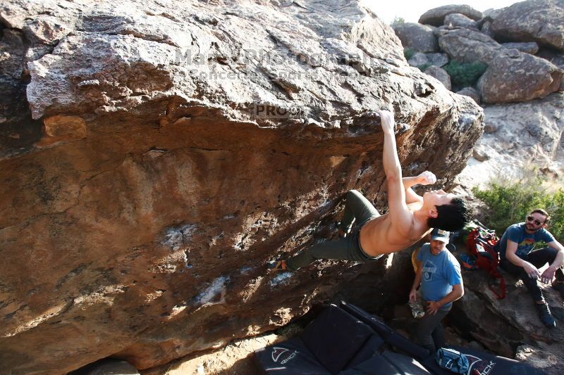 

Filename: SRM_20170311_1712390.jpg
Aperture: f/5.0
Shutter Speed: 1/400
Body: Canon EOS-1D Mark II
Lens: Canon EF 16-35mm f/2.8 L