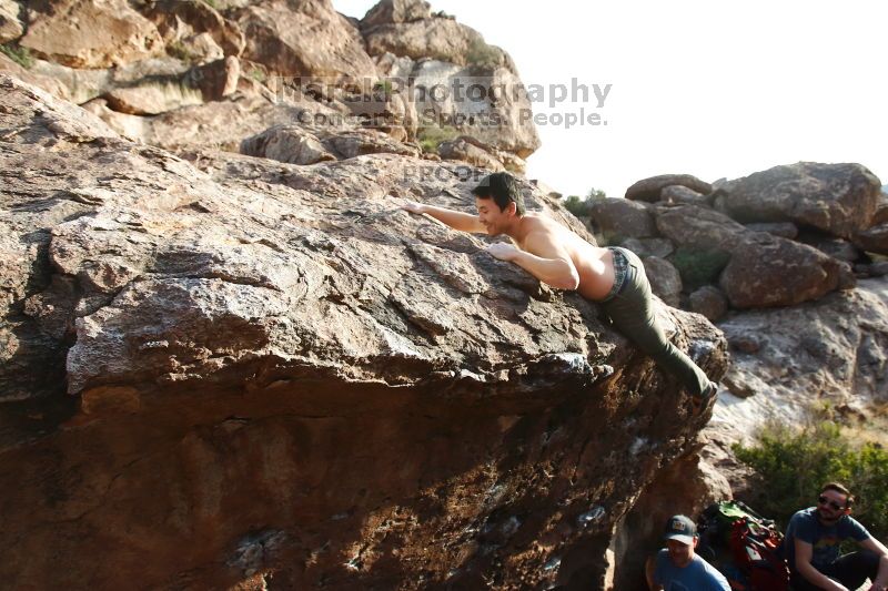 

Filename: SRM_20170311_1712570.jpg
Aperture: f/5.0
Shutter Speed: 1/1000
Body: Canon EOS-1D Mark II
Lens: Canon EF 16-35mm f/2.8 L