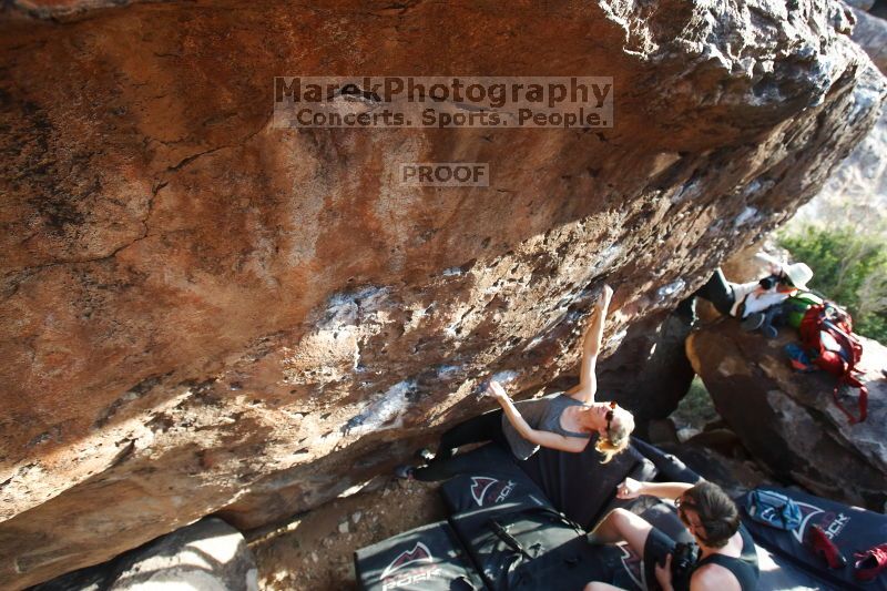 

Filename: SRM_20170311_1719210.jpg
Aperture: f/5.0
Shutter Speed: 1/250
Body: Canon EOS-1D Mark II
Lens: Canon EF 16-35mm f/2.8 L