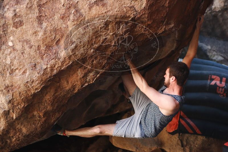 

Filename: SRM_20170312_1027551.jpg
Aperture: f/2.8
Shutter Speed: 1/320
Body: Canon EOS-1D Mark II
Lens: Canon EF 50mm f/1.8 II