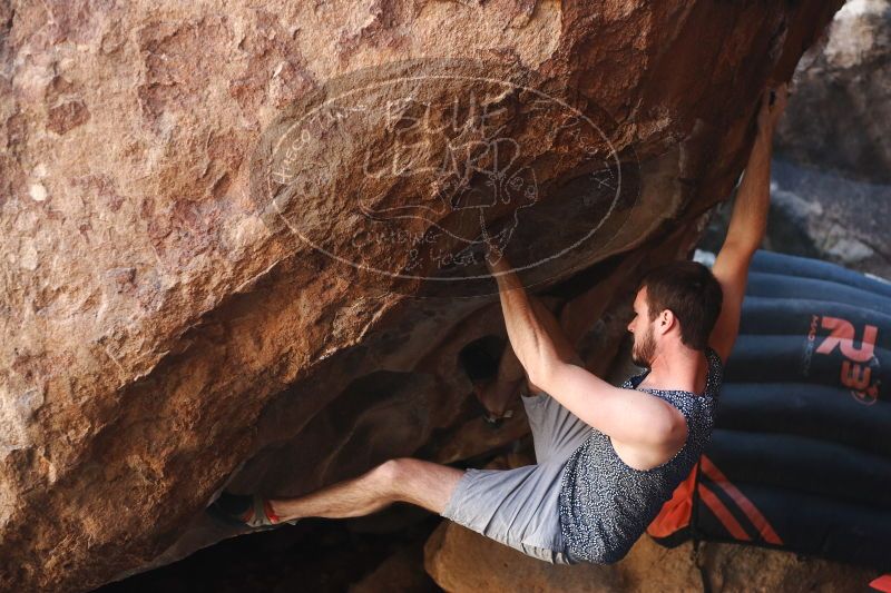 

Filename: SRM_20170312_1027560.jpg
Aperture: f/2.8
Shutter Speed: 1/320
Body: Canon EOS-1D Mark II
Lens: Canon EF 50mm f/1.8 II