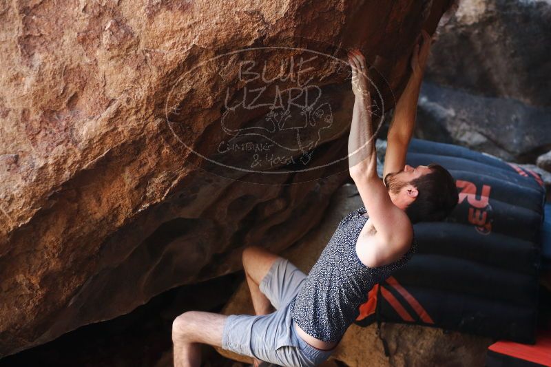 

Filename: SRM_20170312_1031321.jpg
Aperture: f/2.8
Shutter Speed: 1/320
Body: Canon EOS-1D Mark II
Lens: Canon EF 50mm f/1.8 II